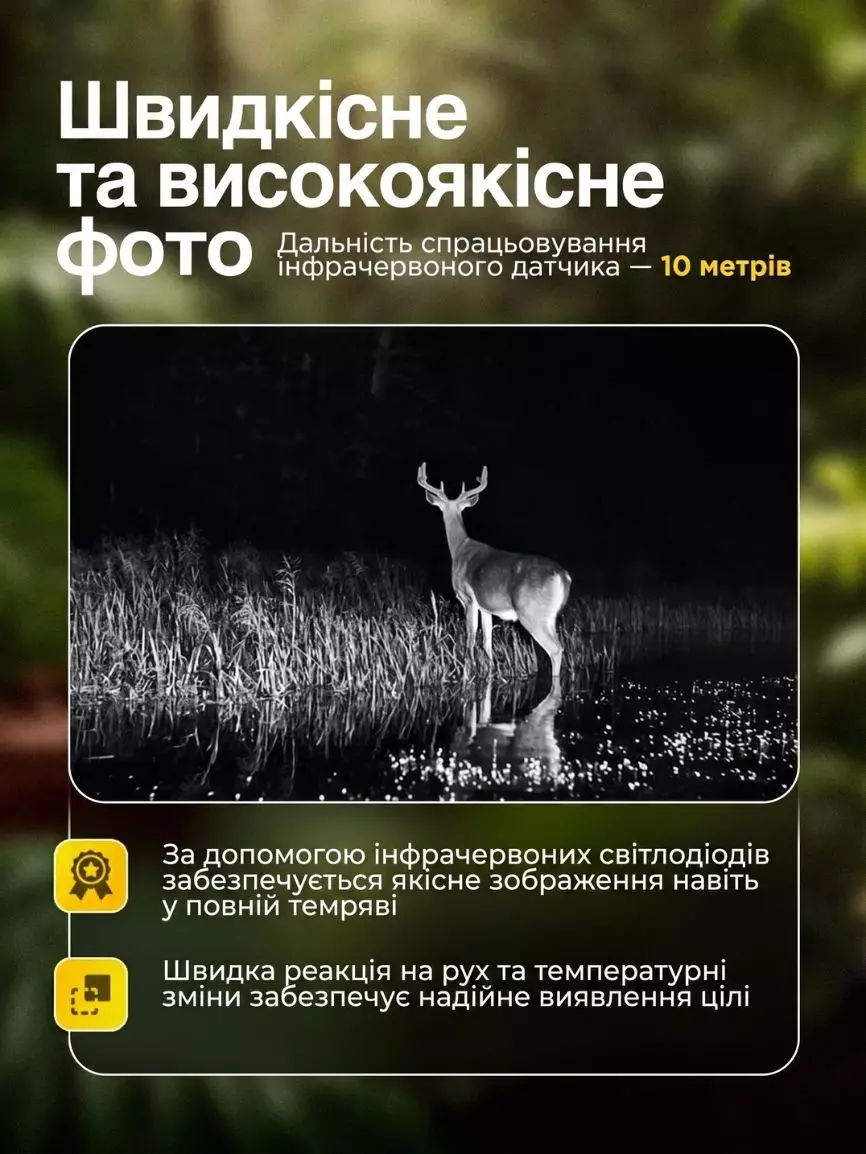 Фотопастка - Зображення 5